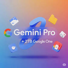 Google Gemini PRO X 1 MES